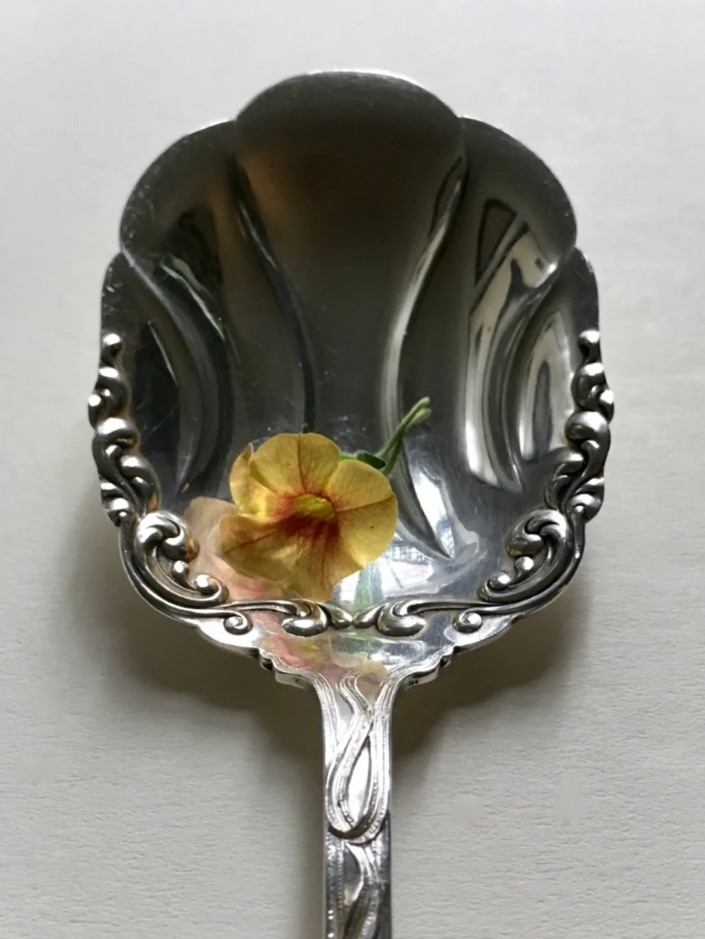 American Silver SP Co. Silver Berry Spoon, C. 1900